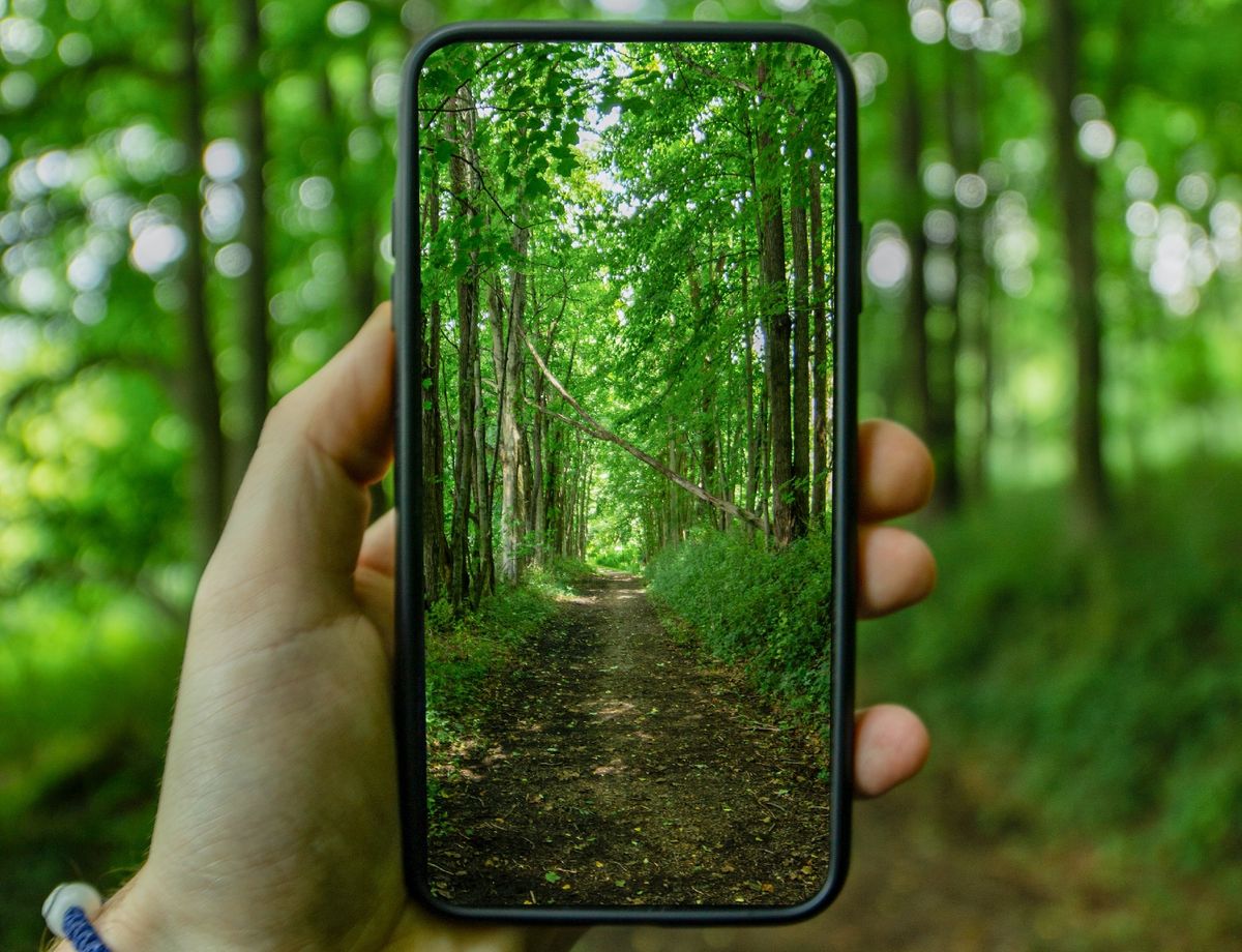 Urge abordar la desconexión con la naturaleza entre los jóvenes