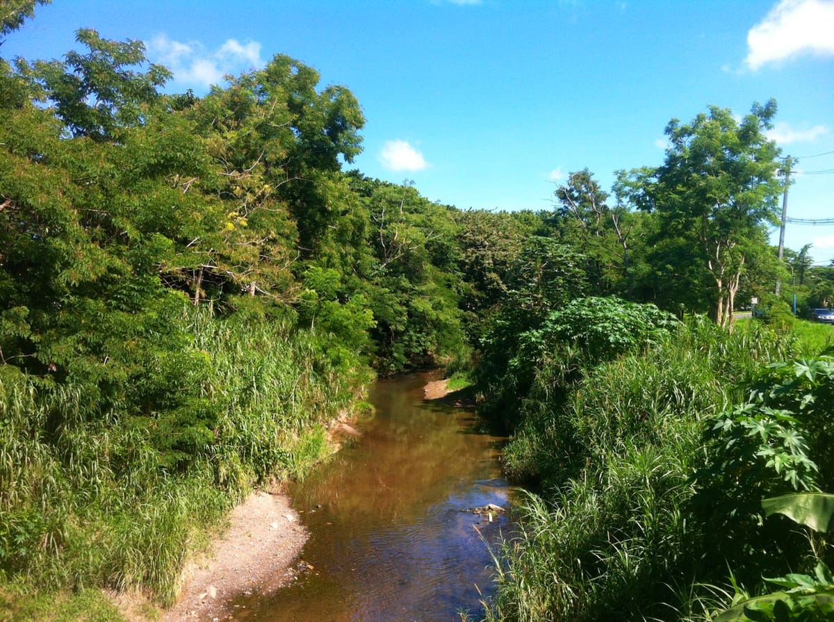 De vuelta al río Piedras y en protección a la vivienda en su cuenca