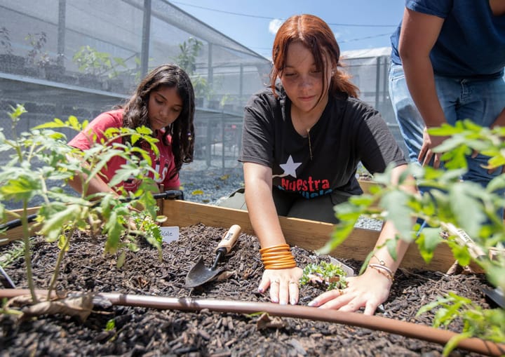 Inauguran “Nuestra Tierra”, la corriente vocacional agrícola de Nuestra Escuela en Caguas